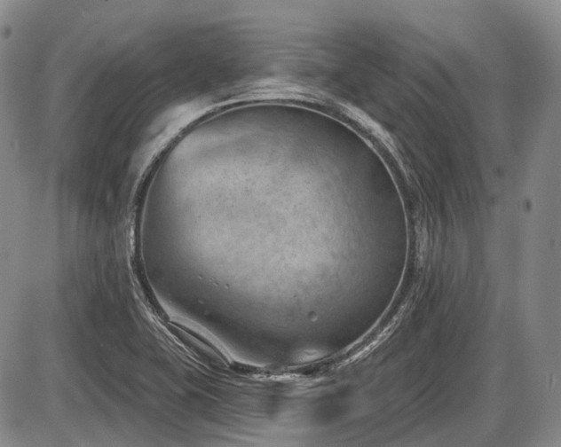 X0000087591415200704271256