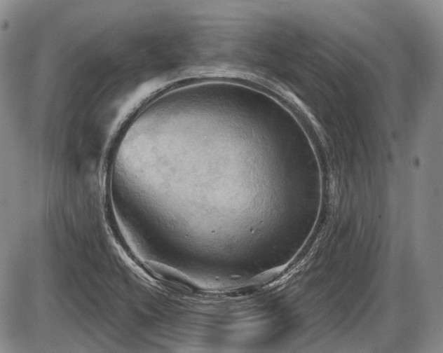 X0000087591416200704271256