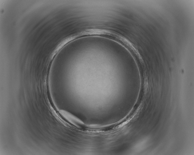 X0000087591417200704271256