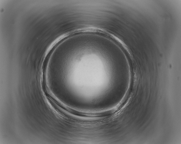 X0000087591418200704271256