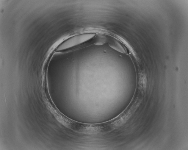 X0000087591419200704271256