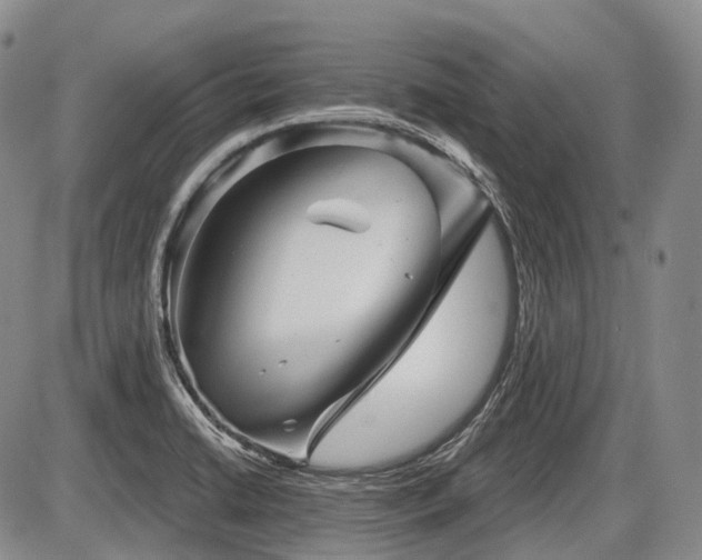 X0000087591422200704271256