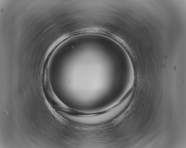 X0000087591426200704271256