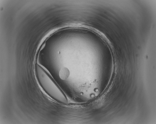 X0000087591432200704271256