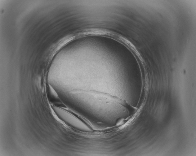 X0000087591433200704271256