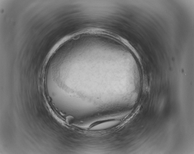 X0000087591437200704271256