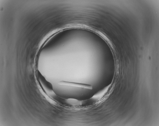 X0000087591438200704271256