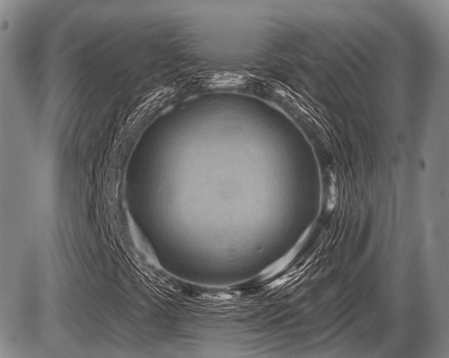 X0000087591441200704271255