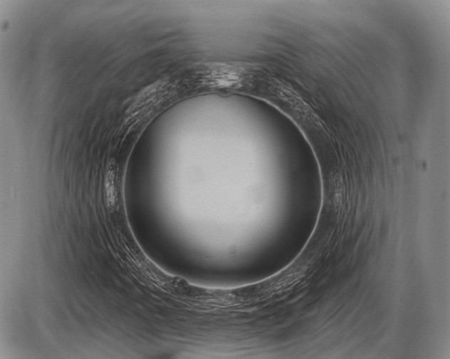 X0000087591442200704271255