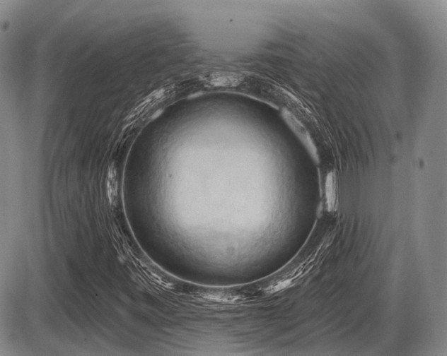 X0000087591443200704271255