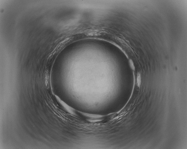 X0000087591444200704271255