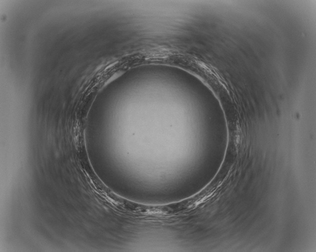 X0000087591445200704271255
