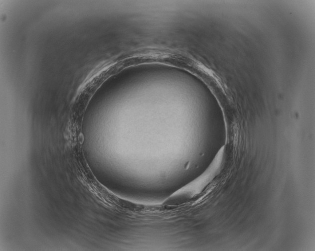 X0000087591448200704271255