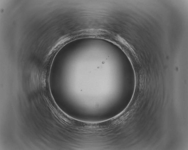 X0000087591451200704271255