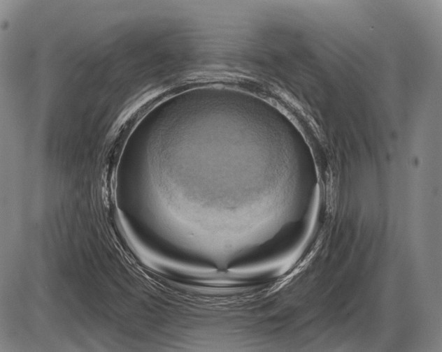 X0000087591453200704271255