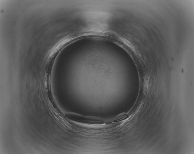 X0000087591455200704271255