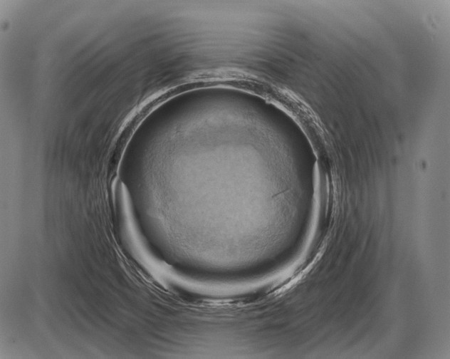 X0000087591457200704271255