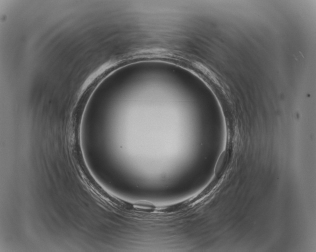 X0000087591458200704271255