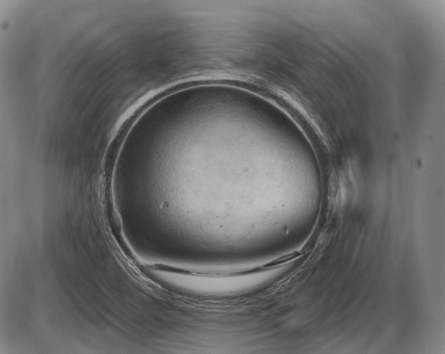 X0000087591460200704271255
