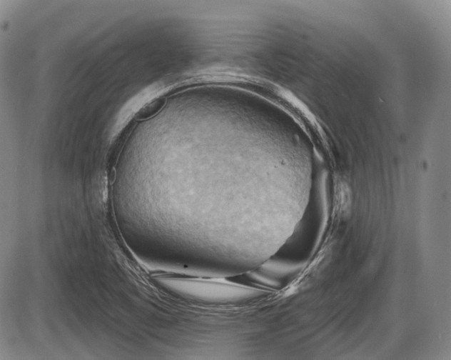 X0000087591461200704271255