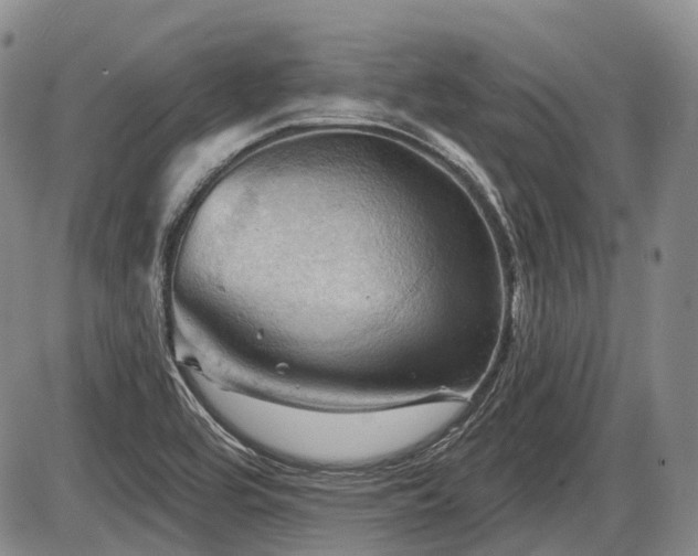 X0000087591464200704271255