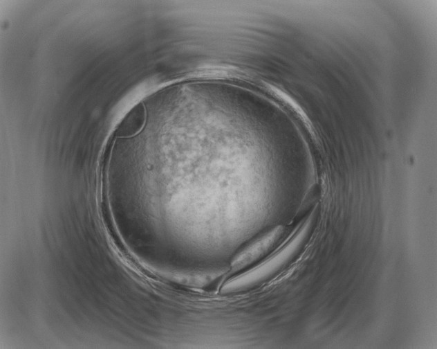 X0000087591467200704271255