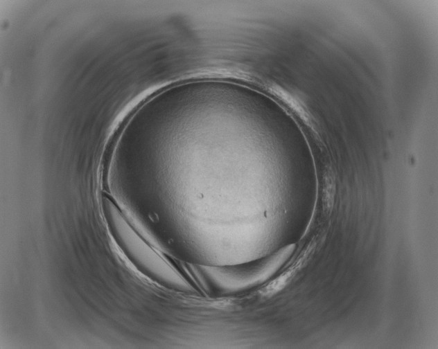 X0000087591468200704271255