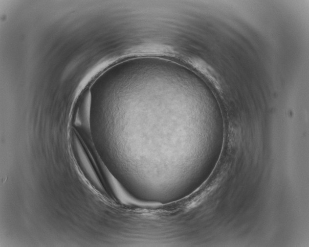X0000087591469200704271255