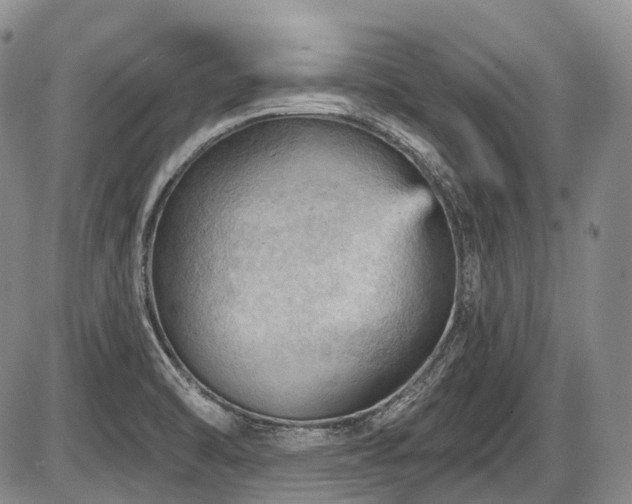 X0000087591470200704271255