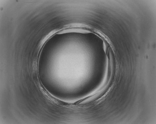 X0000087591473200704271255