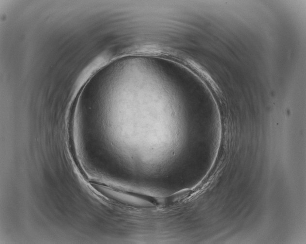 X0000087591475200704271255