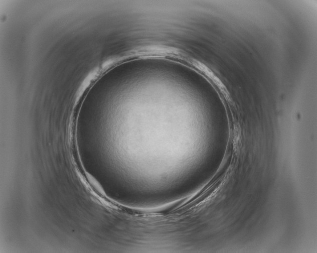 X0000087591477200704271255