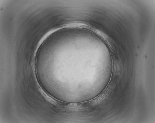 X0000087591478200704271255