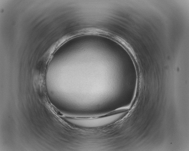 X0000087591481200704271255