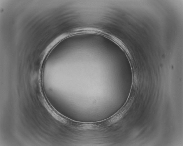 X0000087591482200704271255