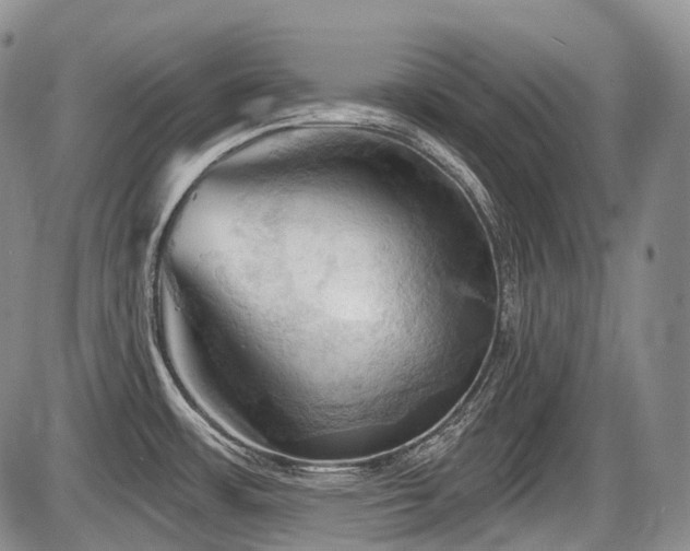 X0000087591483200704271255