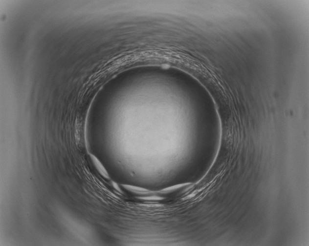 X0000087591490200704271254