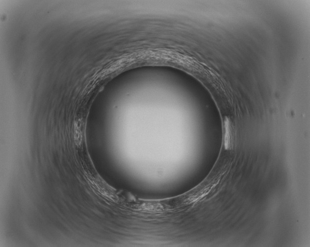X0000087591491200704271254