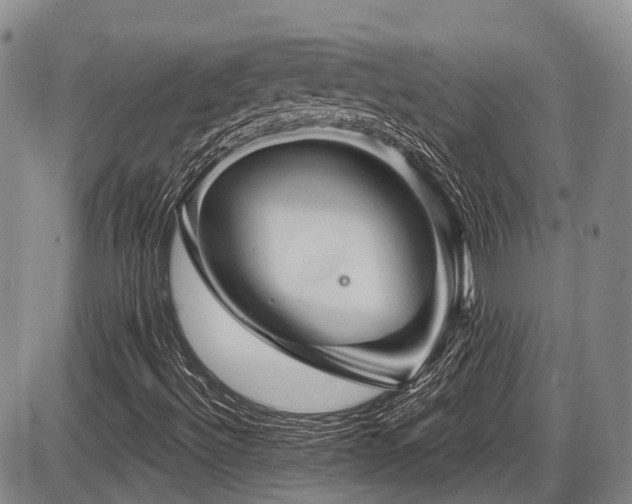 X0000087591492200704271254