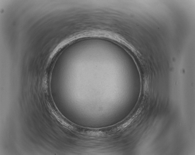 X0000087591498200704271254