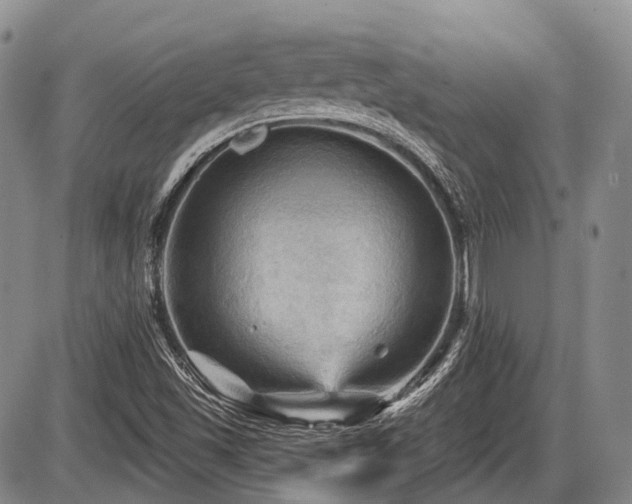 X0000087591501200704271254