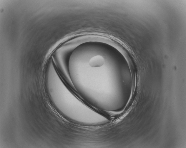 X0000087591502200704271254