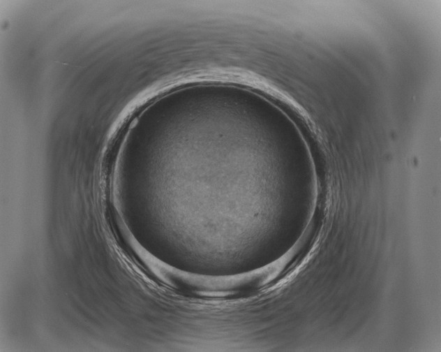 X0000087591506200704271254