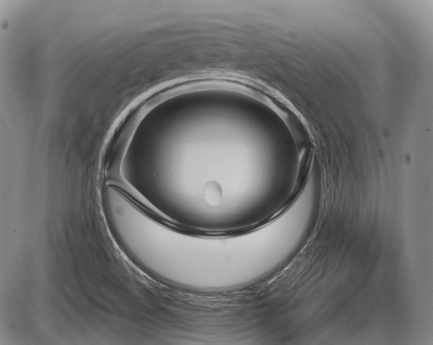 X0000087591508200704271254