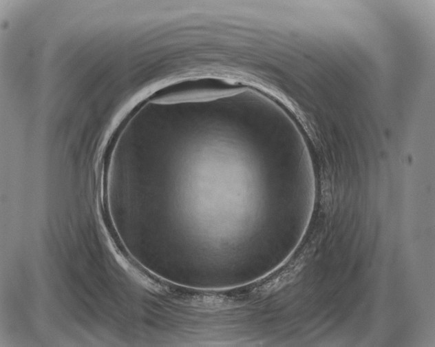 X0000087591515200704271254
