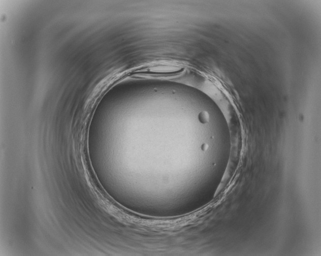 X0000087590001200705041521