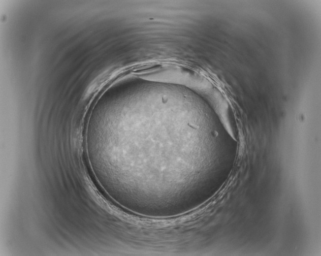 X0000087590002200705041521