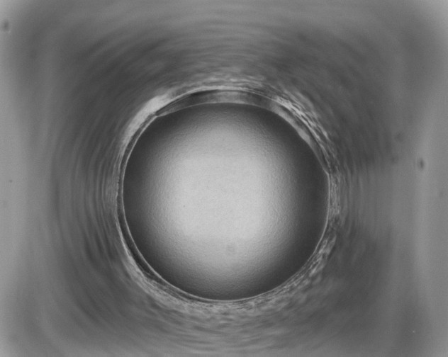 X0000087590003200705041520