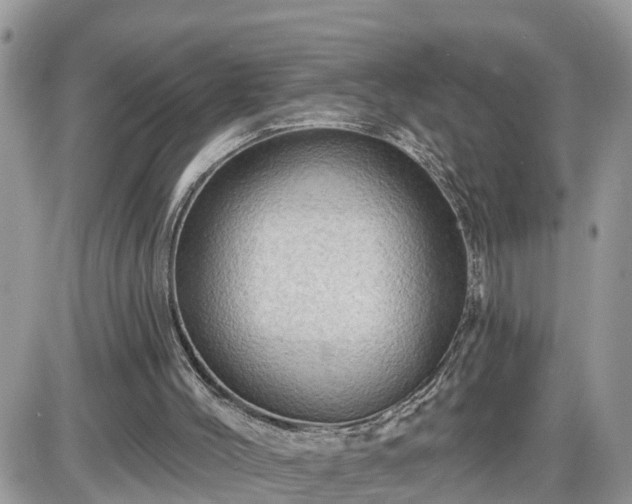 X0000087590004200705041520