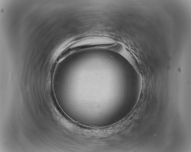 X0000087590005200705041520